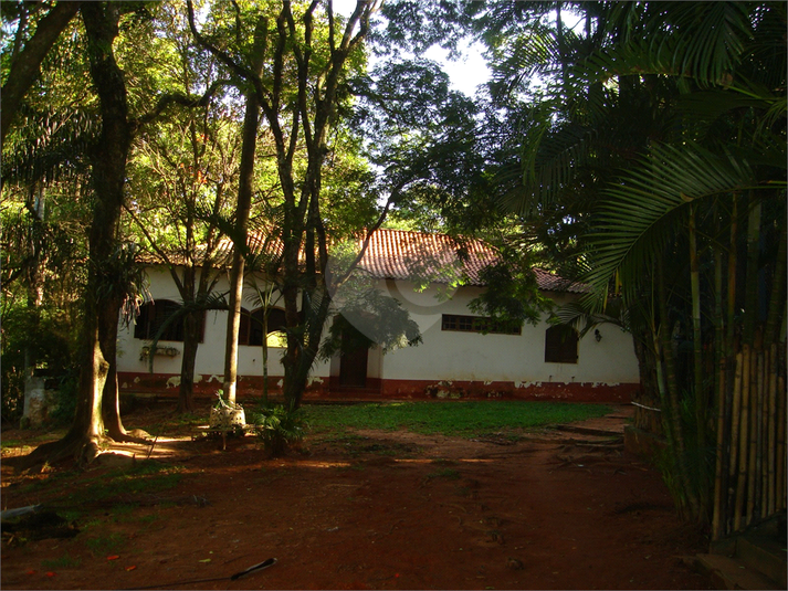 Foto REO1063089
