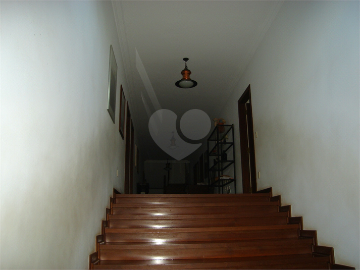 Foto REO1063089