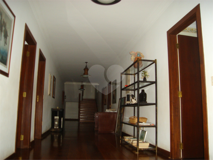 Foto REO1063089