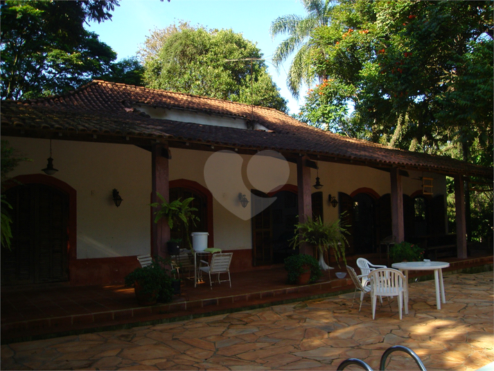 Foto REO1063089