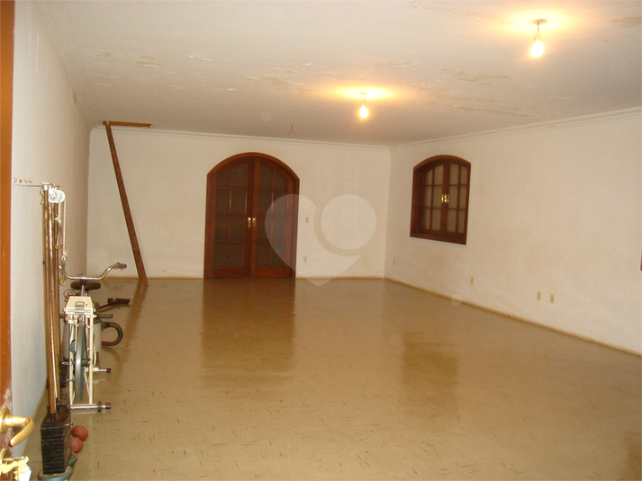 Foto REO1063089