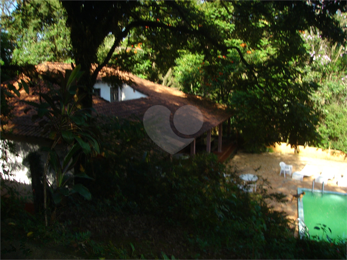 Foto REO1063089