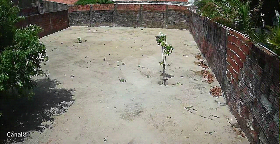 Foto REO1063097