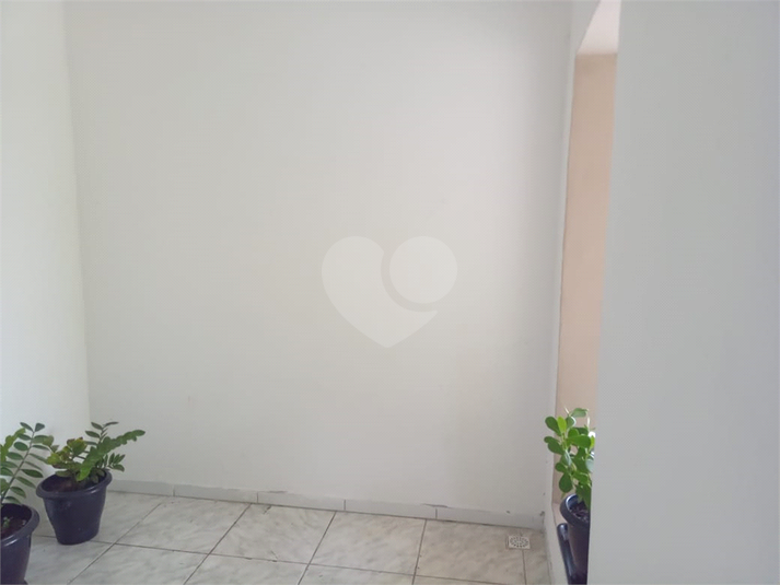 Foto REO1063097