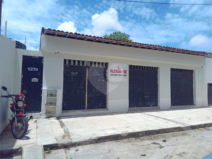 Foto REO1063097