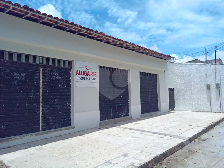 Foto REO1063097