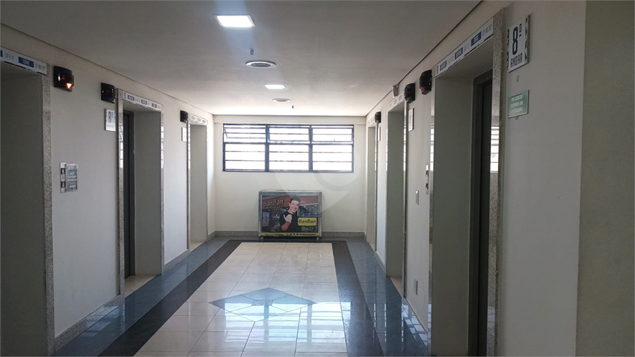 Foto REO1063152