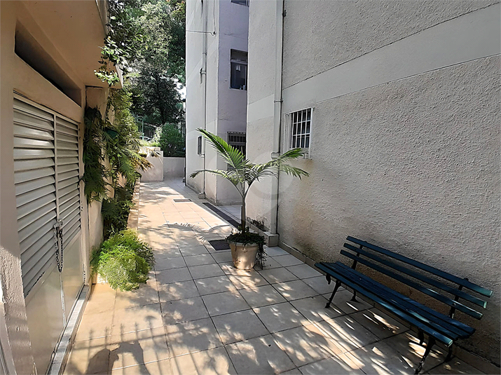 Foto REO1063156