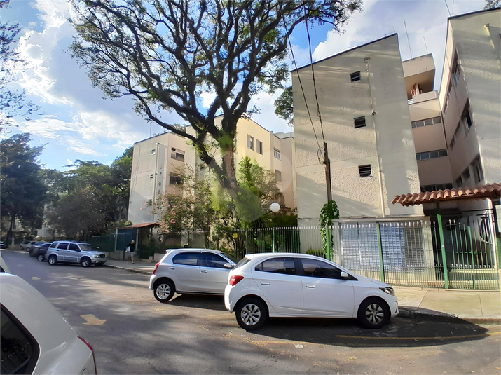 Foto REO1063156