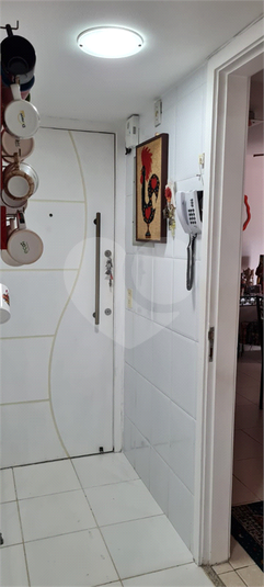 Foto REO1063180