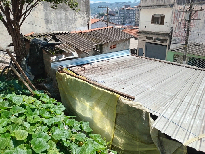 Venda Casa São Paulo Vila Nova Cachoeirinha REO1063210 12