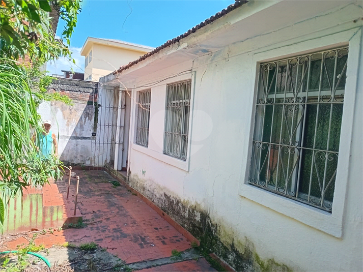 Venda Casa São Paulo Vila Nova Cachoeirinha REO1063244 6