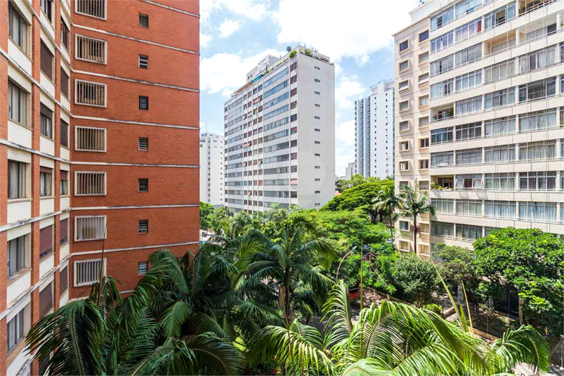 Foto REO1063255