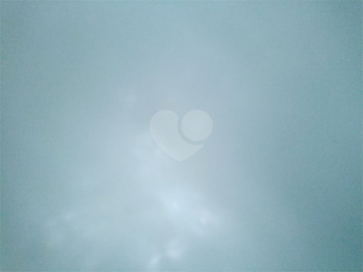 Foto REO1063298