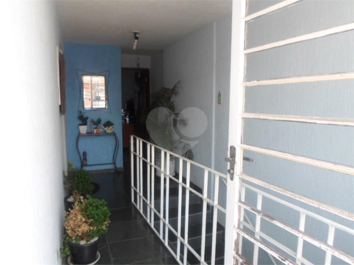 Foto REO10633