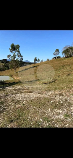 Foto REO1063328