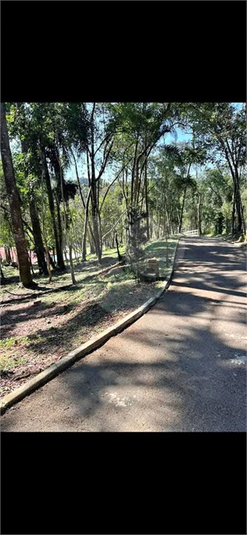 Foto REO1063328