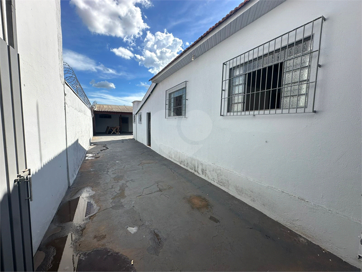 Foto REO1063386