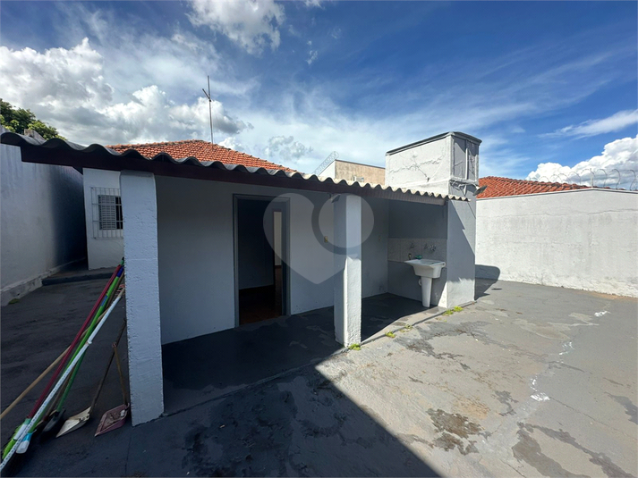 Foto REO1063386