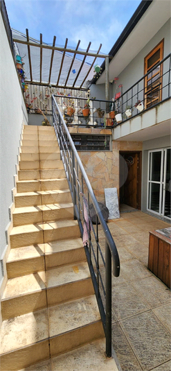 Foto REO1063462