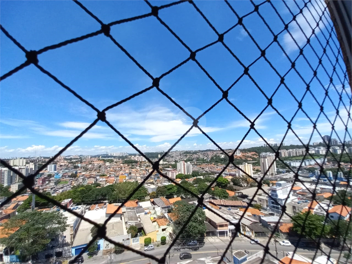 Foto REO1063478