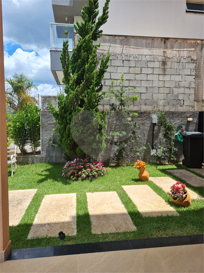Foto REO1063485