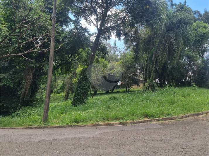 Foto REO1063486
