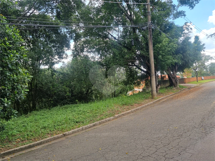 Foto REO1063486