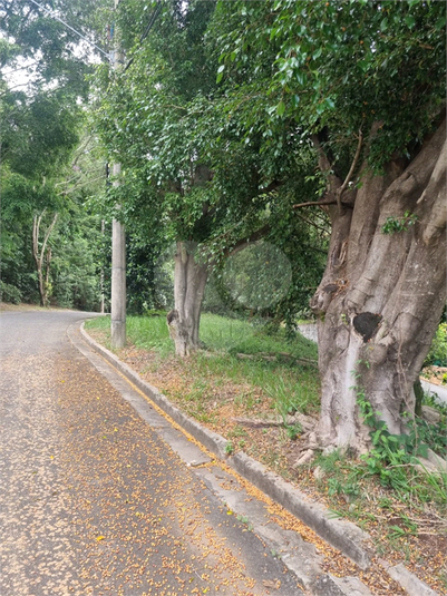 Foto REO1063486