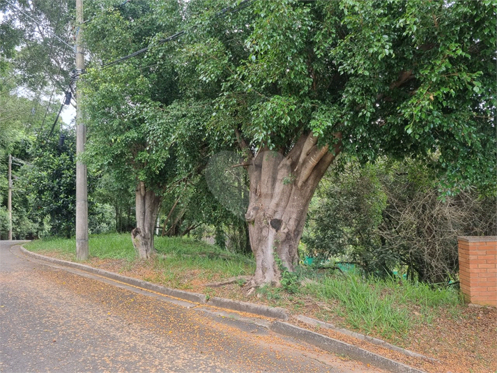 Foto REO1063486