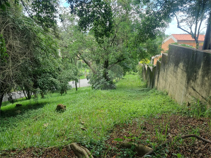 Foto REO1063486