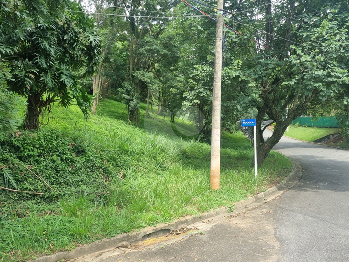 Foto REO1063510