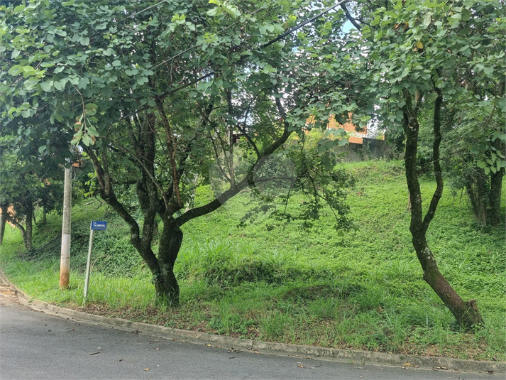 Foto REO1063510