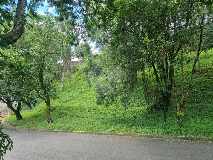 Foto REO1063510