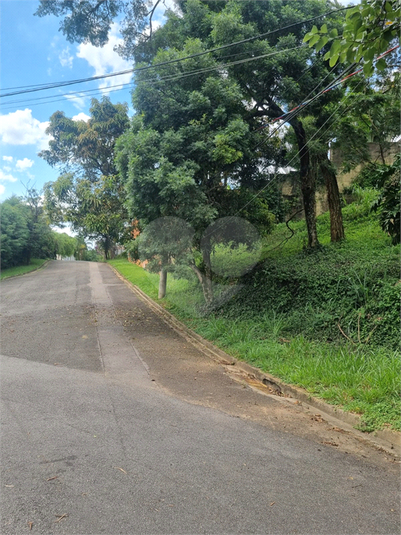 Foto REO1063510