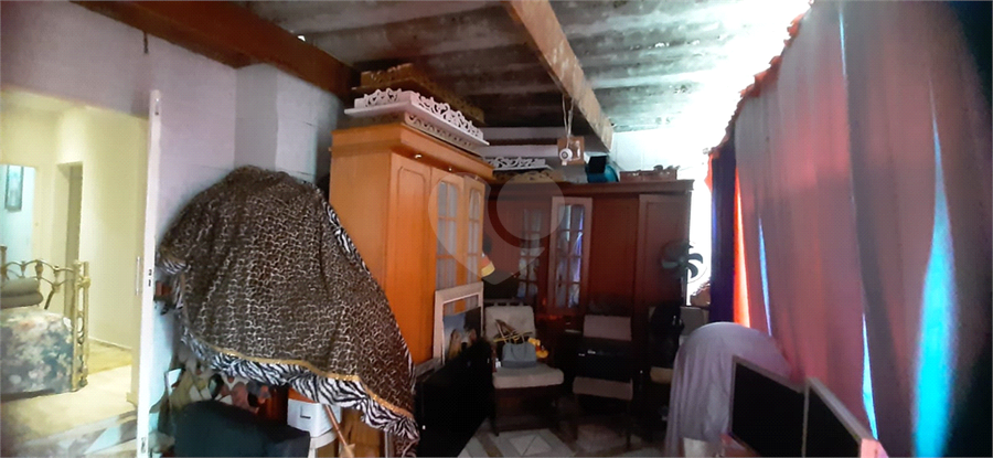 Foto REO1063520