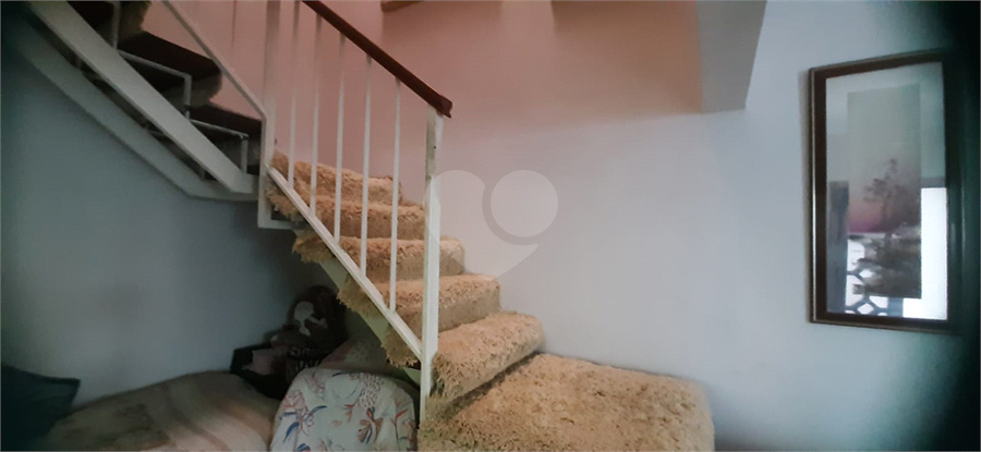 Foto REO1063520