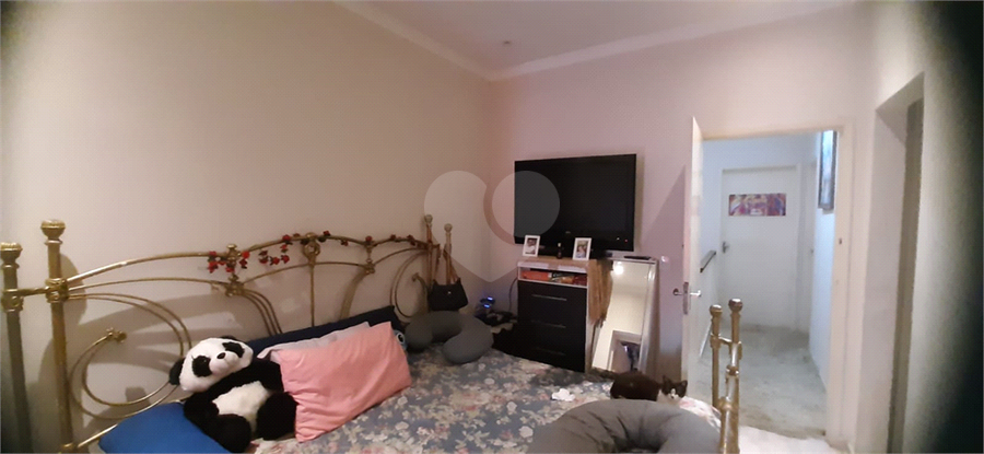 Foto REO1063520