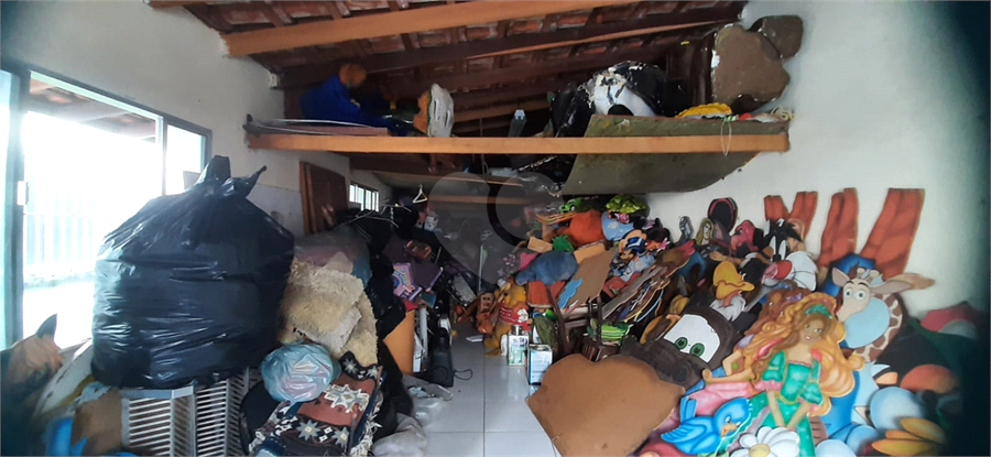 Foto REO1063520