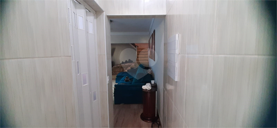 Foto REO1063520