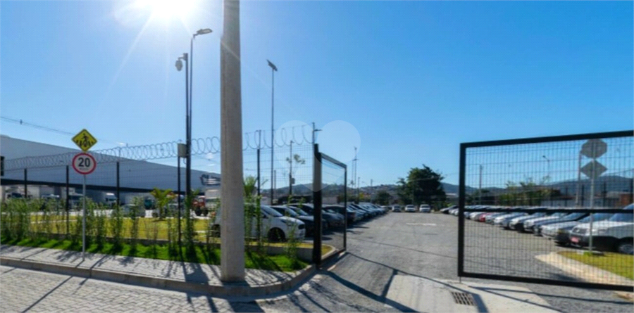 Foto REO1063536