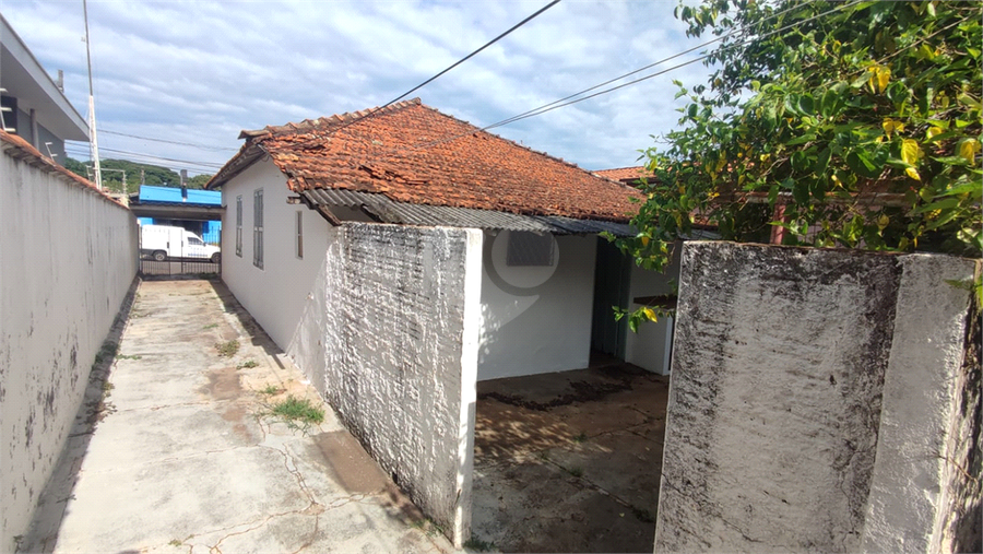 Foto REO1063556