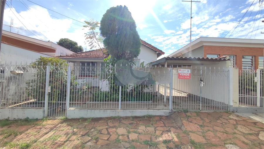 Foto REO1063556