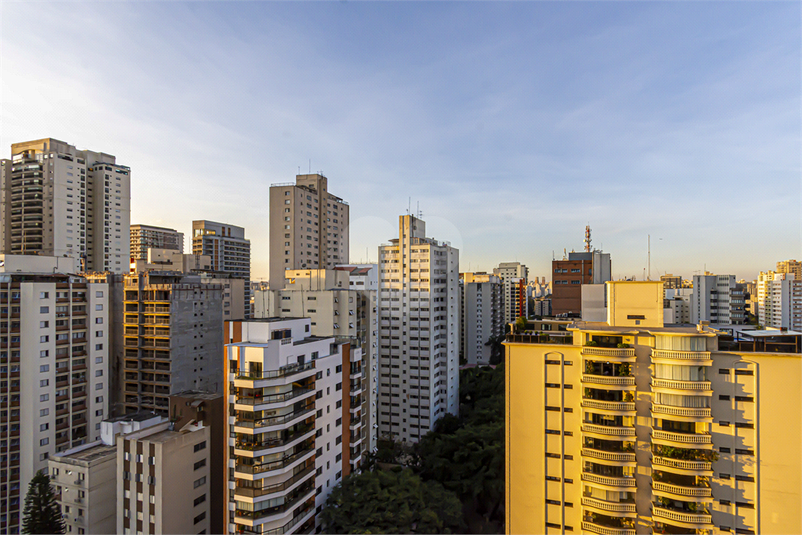 Foto REO1063568