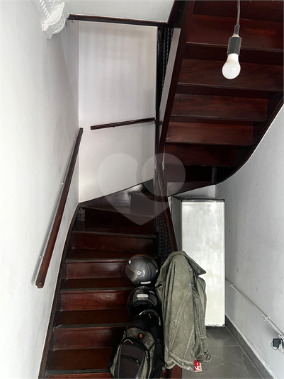 Foto REO1063622