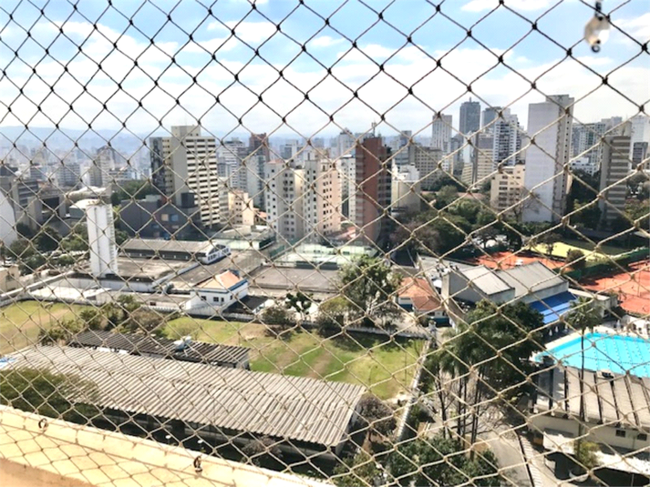Foto REO1063626