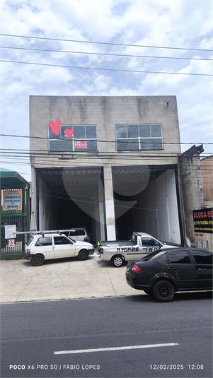 Foto REO1063642