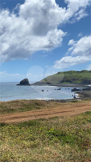 Venda Loteamento Armação Dos Búzios Praia Rasa REO1063647 13