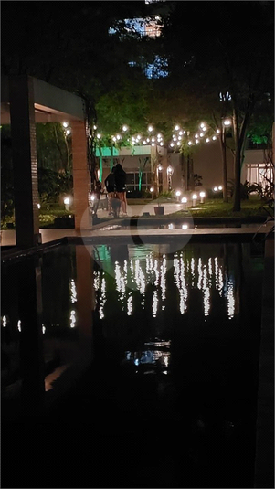 Foto REO1063666