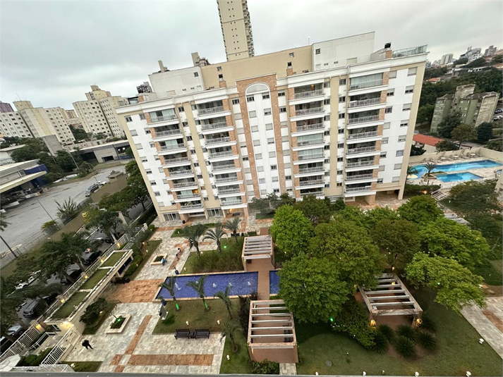 Foto REO1063666
